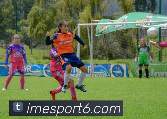 App Interface Preview